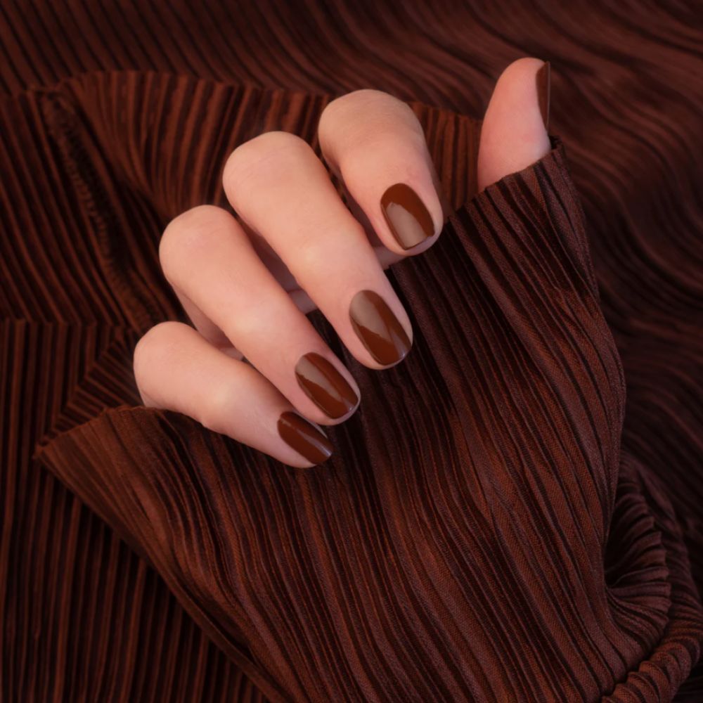 Chesnut flash – Image 2