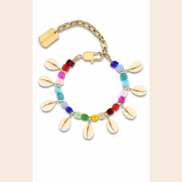 THE SHELL DEALER Bracelet Cauri Multicolored